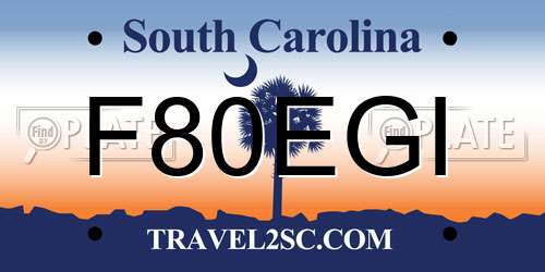 F80EGI South Carolina License Plate