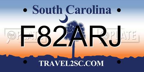 F82ARJ South Carolina License Plate