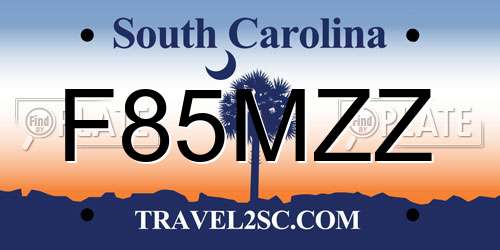 F85MZZ South Carolina License Plate