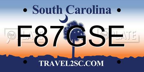 F87GSE South Carolina License Plate
