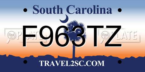 F963TZ South Carolina License Plate