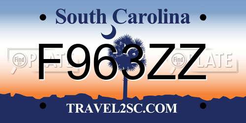 F963ZZ South Carolina License Plate