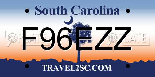 F96EZZ South Carolina License Plate