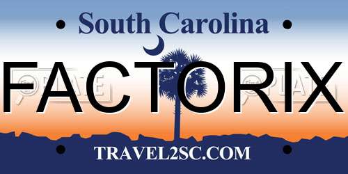 FACTORIX South Carolina License Plate