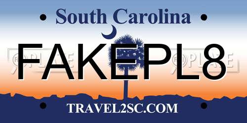 FAKEPL8 South Carolina License Plate