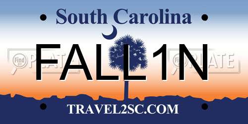 FALL1N South Carolina License Plate