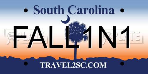 FALL1N1 South Carolina License Plate