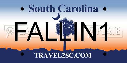 FALLIN1 South Carolina License Plate