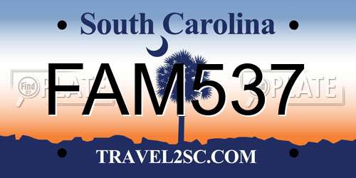 FAM537 South Carolina License Plate