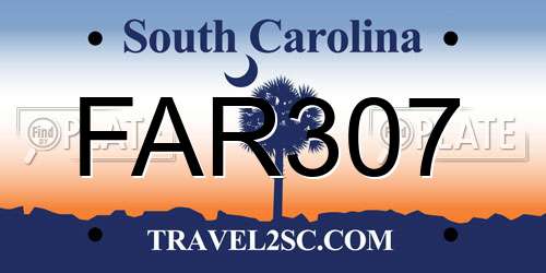 FAR307 South Carolina License Plate