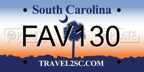 FAV130 South Carolina License Plate