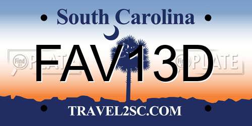 FAV13D South Carolina License Plate