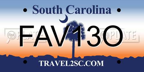 FAV13O South Carolina License Plate