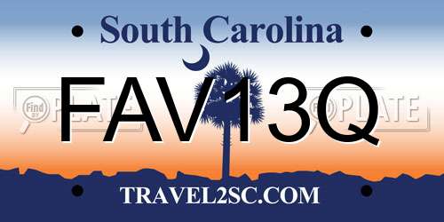 FAV13Q South Carolina License Plate