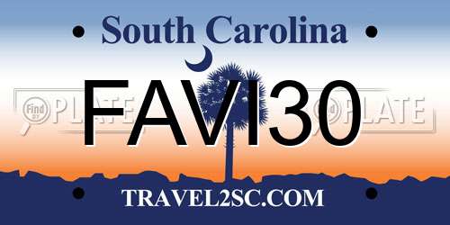 FAVI30 South Carolina License Plate