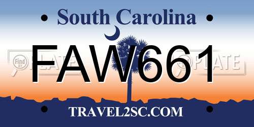 FAW661 South Carolina License Plate