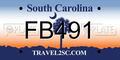 FB491 South Carolina License Plate
