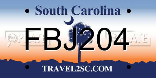 FBJ204 South Carolina License Plate