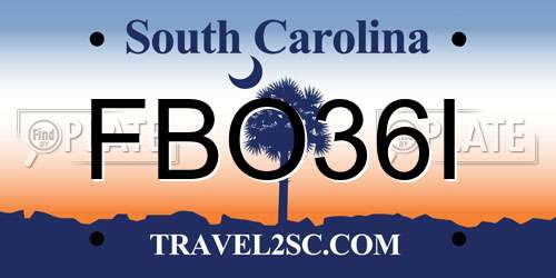 FBO36I South Carolina License Plate