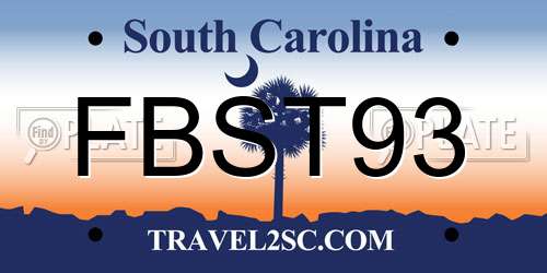 FBST93 South Carolina License Plate
