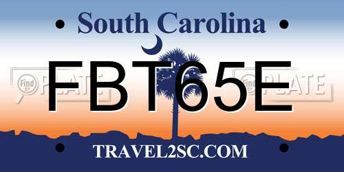 FBT65E South Carolina License Plate