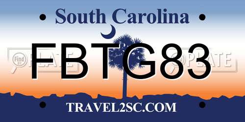 FBTG83 South Carolina License Plate