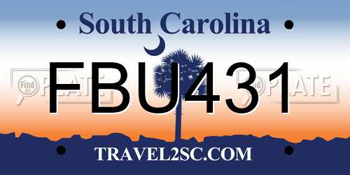 FBU431 South Carolina License Plate