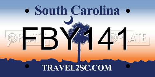FBY141 South Carolina License Plate