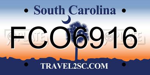 FCO6916 South Carolina License Plate