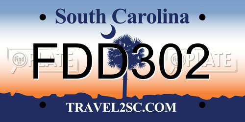 FDD302 South Carolina License Plate