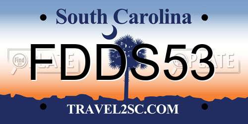 FDDS53 South Carolina License Plate