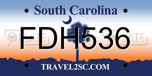 FDH536 South Carolina License Plate