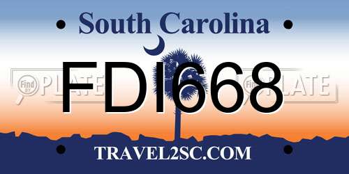 FDI668 South Carolina License Plate