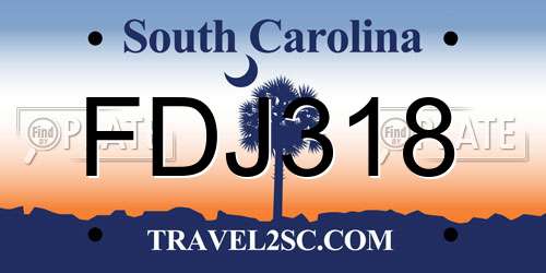 FDJ318 South Carolina License Plate