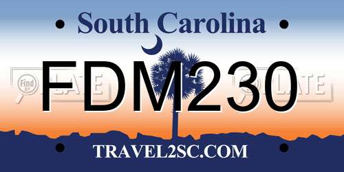 FDM230 South Carolina License Plate