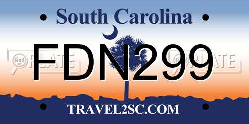 FDN299 South Carolina License Plate