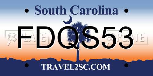 FDQS53 South Carolina License Plate