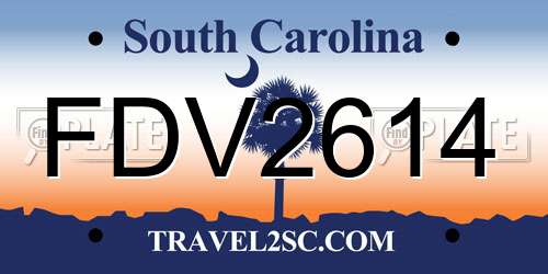FDV2614 South Carolina License Plate