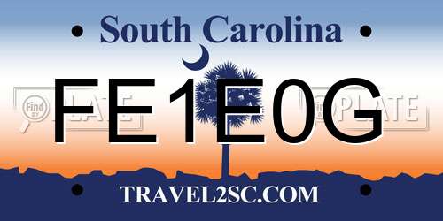 FE1E0G South Carolina License Plate