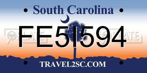 FE5I594 South Carolina License Plate