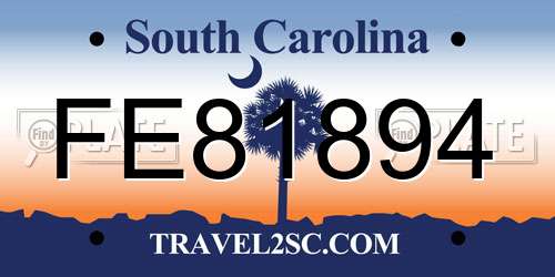 FE81894 South Carolina License Plate