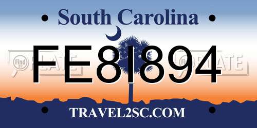 FE8I894 South Carolina License Plate
