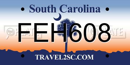 FEH608 South Carolina License Plate