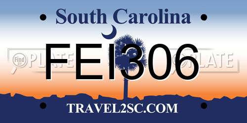 FEI306 South Carolina License Plate