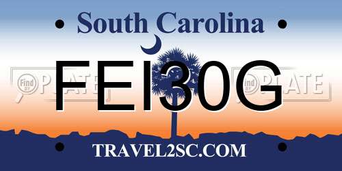 FEI30G South Carolina License Plate