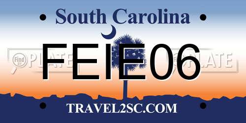 FEIE06 South Carolina License Plate