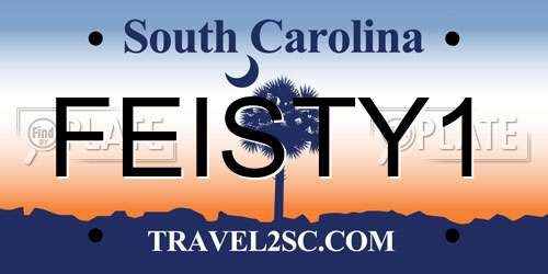 FEISTY1 South Carolina License Plate