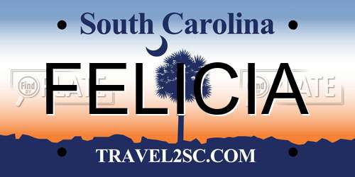 FELICIA South Carolina License Plate