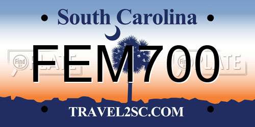 FEM700 South Carolina License Plate