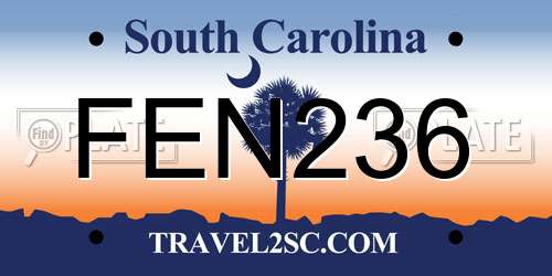 FEN236 South Carolina License Plate